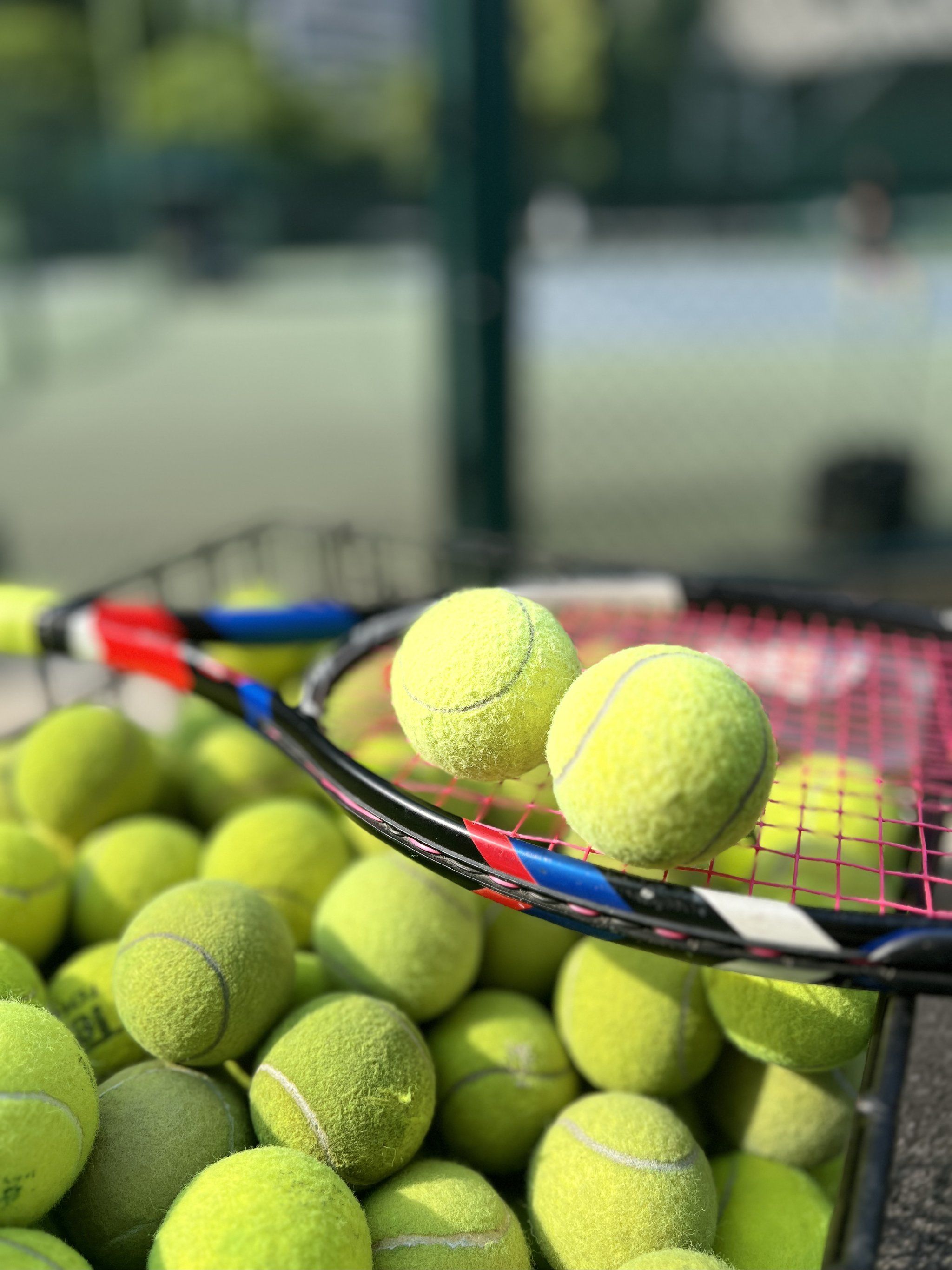 需要做到 需要做到