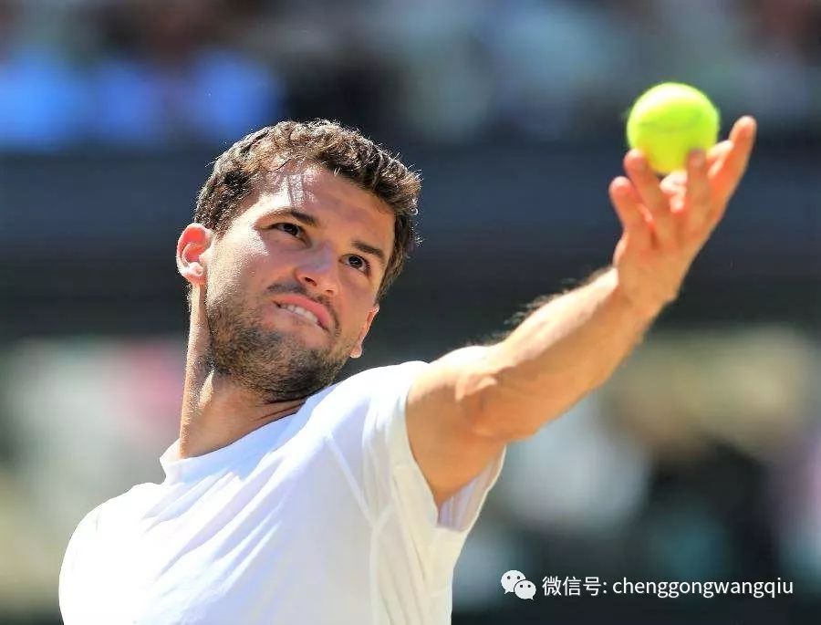 奏的肉鸽射 奏的肉鸽射